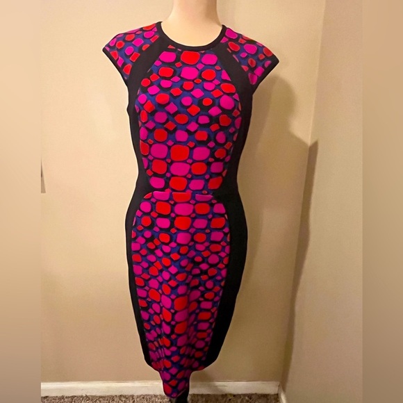 Anne Klein Multi Print Panel ScubaDress size 8